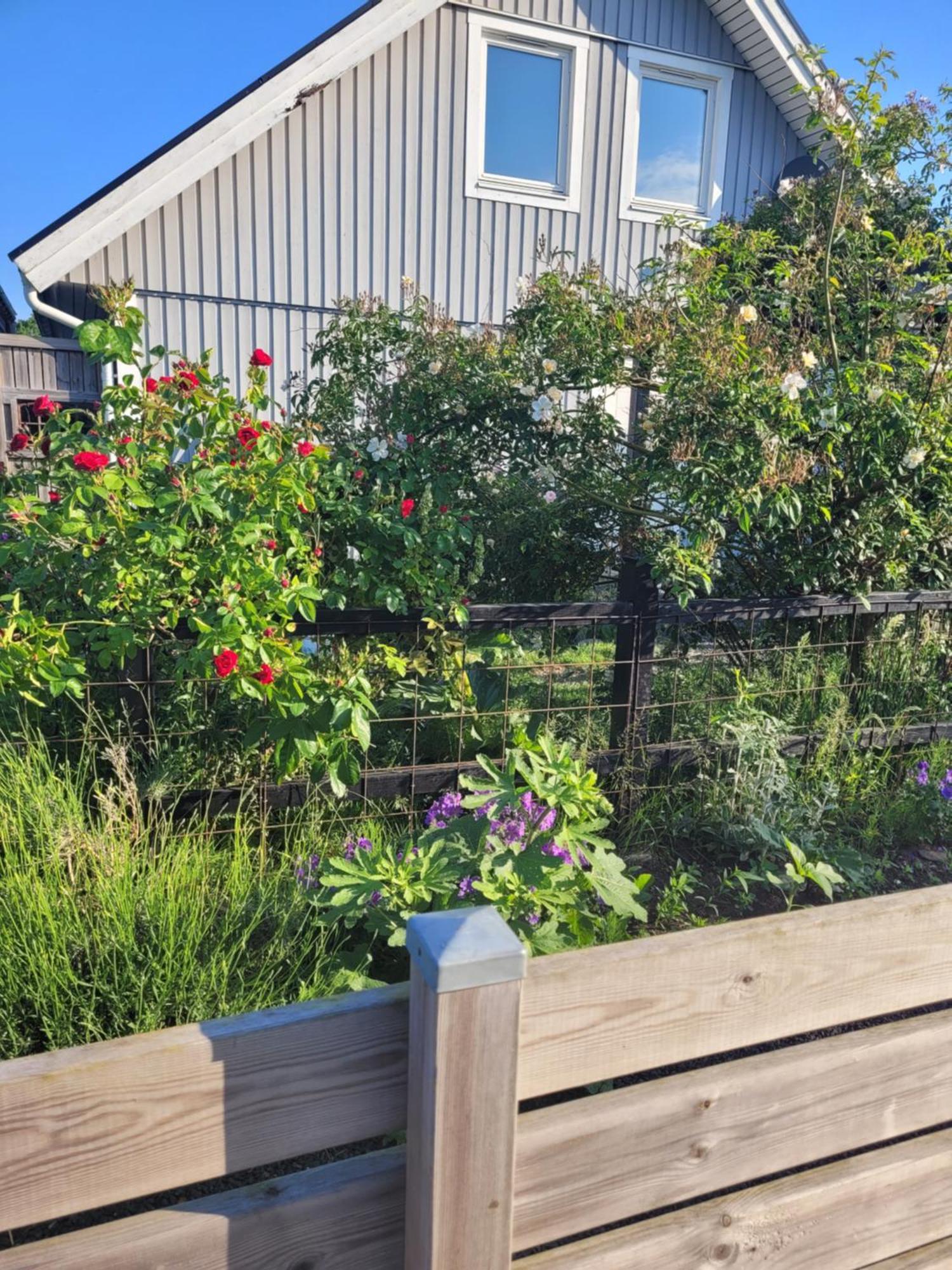 Helgas I Hébergement de vacances Jonstorp